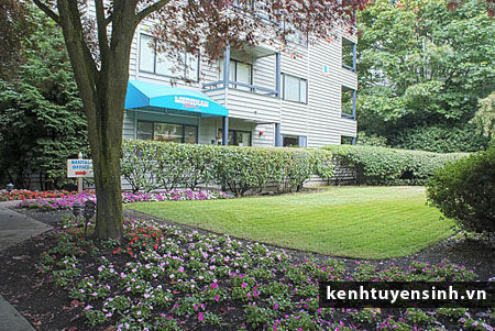 Học Tập tại trường Shoreline Community College